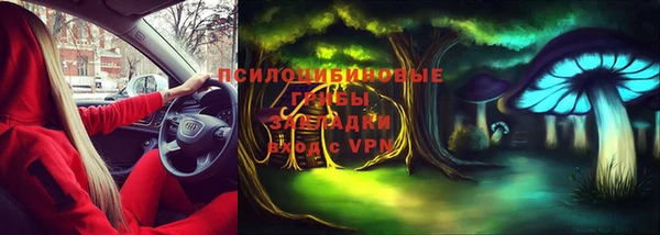 мет Белокуриха