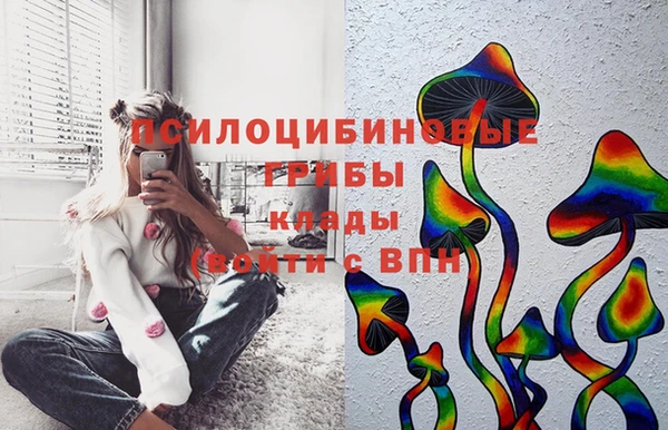хмурый Белоозёрский